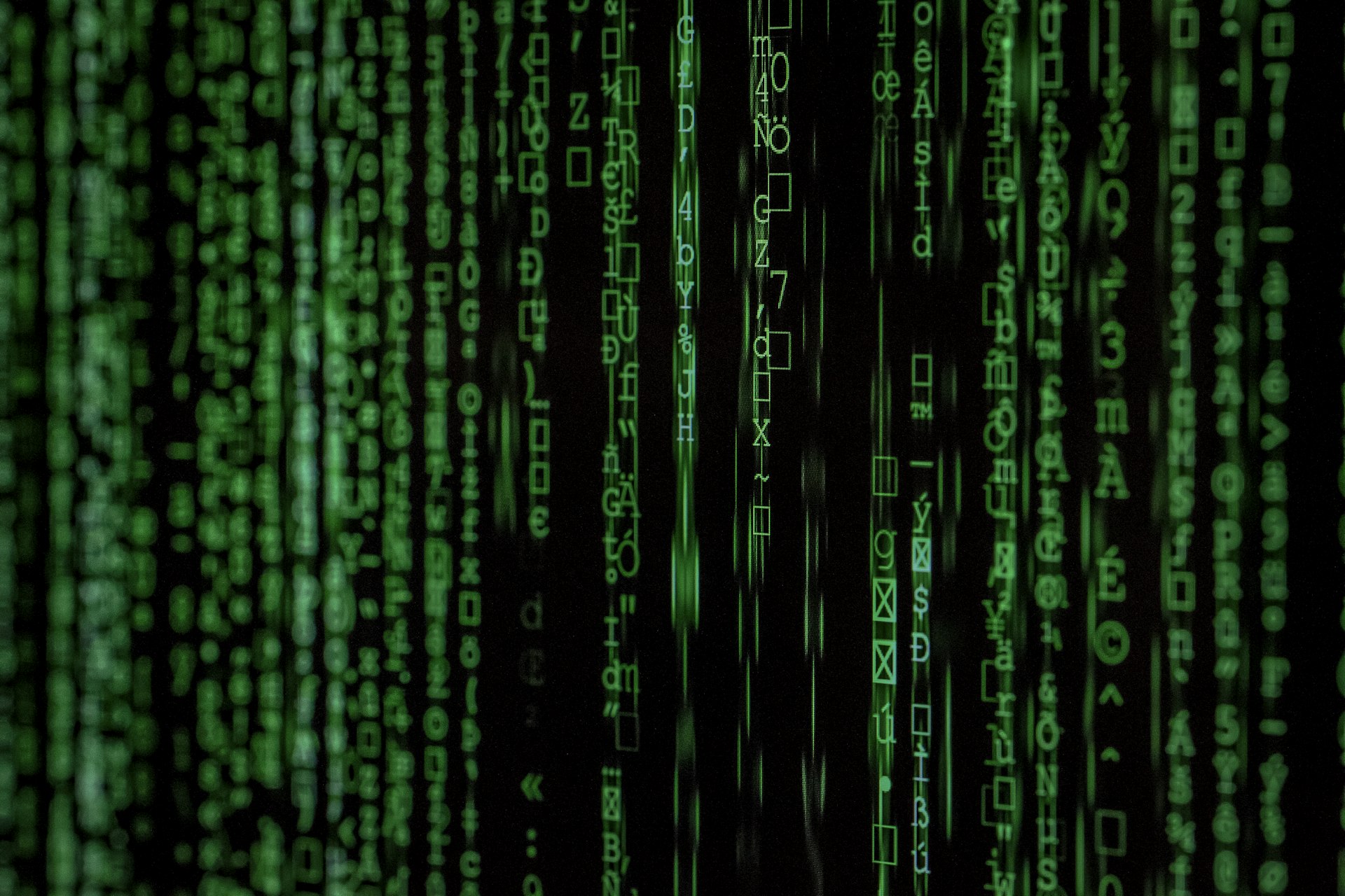 Network protection and monitoring